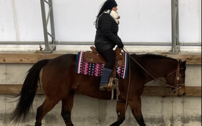 Why Every Good Horse Trainer Has a Trainer